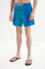 Мужские пляжные шорты BIKKEMBERGS Waves (Зеленый) фото превью 1
