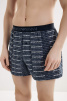 Мужские трусы-шорты EMPORIO ARMANI (Ea Lettering Horizontal fb072) фото превью 1