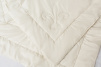 Легкое одеяло BILLERBECK Contessa Light фото превью 3