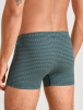 Мужские трусы-боксеры CALIDA Grafic Cotton (Зеленый) фото превью 2
