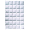 Суперлегкое одеяло BILLERBECK Colina Superlight фото превью 1