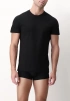 Мужская футболка PEROFIL Pima Bipack (Черный) фото превью 2