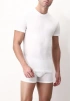 Мужская футболка PEROFIL Cotone Pima (Белый) фото превью 1