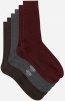 Комплект мужских носков DIM Basic Cotton (3 пары) (Бордовый/Серый/Коричневый) фото превью 2