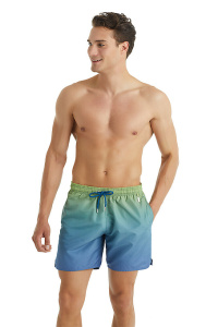 Мужские пляжные шорты BLACKSPADE (Сине-зеленый)