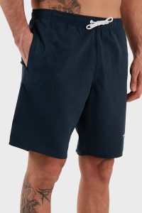 Мужские пляжные шорты EMPORIO ARMANI (Navy Blue 06935)