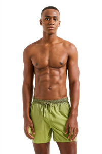 Мужские пляжные шорты EMPORIO ARMANI (Guacamole u7067)