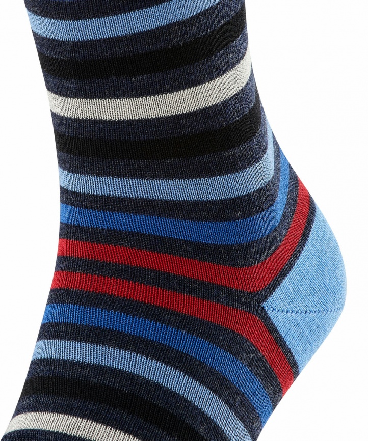 Носки мужские FALKE Tinted Stripe (Темный-синий) фото 3