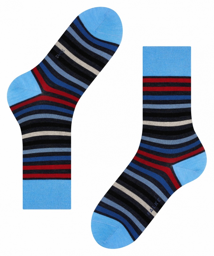 Носки мужские FALKE Tinted Stripe (Темный-синий) фото 4