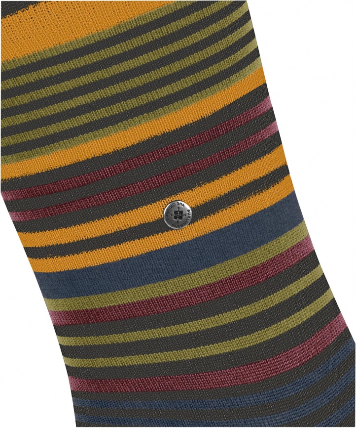 Носки мужские BURLINGTON Stripe (Коричневый) фото 4