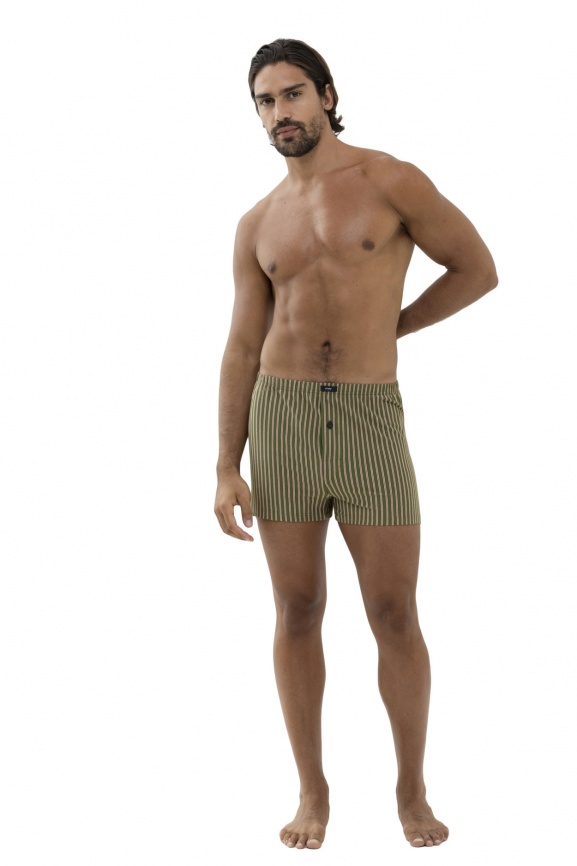 Мужские трусы-шорты MEY Stripes (Зеленый) фото 1