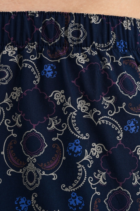 Мужские трусы-шорты HANRO Fancy Woven (Многоцветный) фото 3